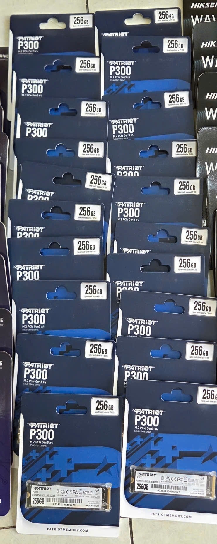 Ổ cứng SSD Patriot P300 256GB | PCIe Gen3 x4 NVMe, M.2 2280 (P300P256GM28)